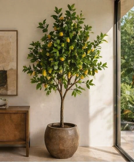 Limonero Artificial con Base - 250 cm
