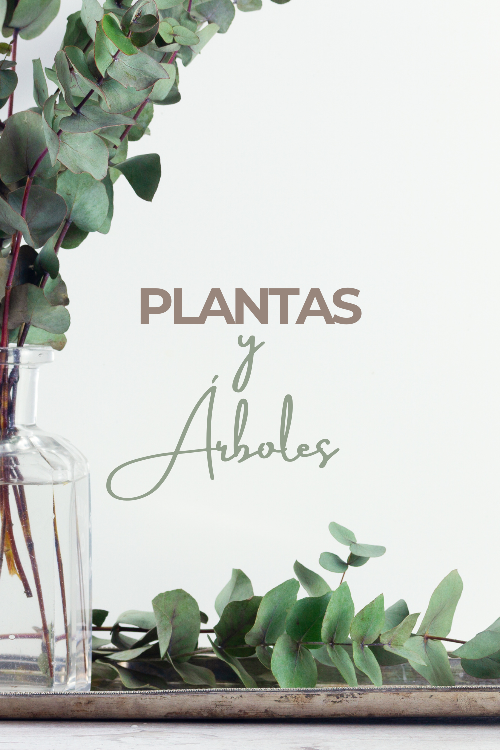 Plantas y Árboles.