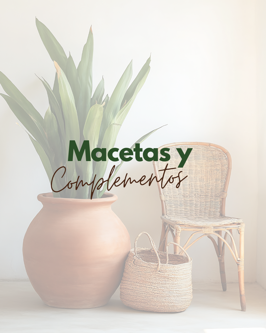 Macetas y Complementos.