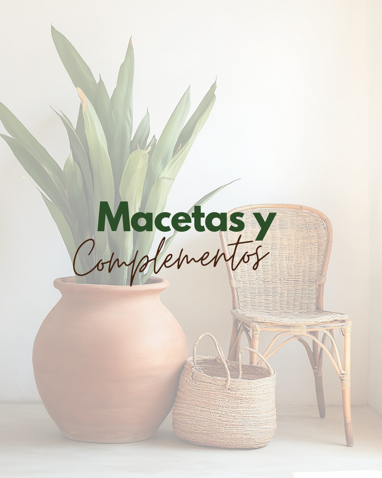 Macetas y Complementos.