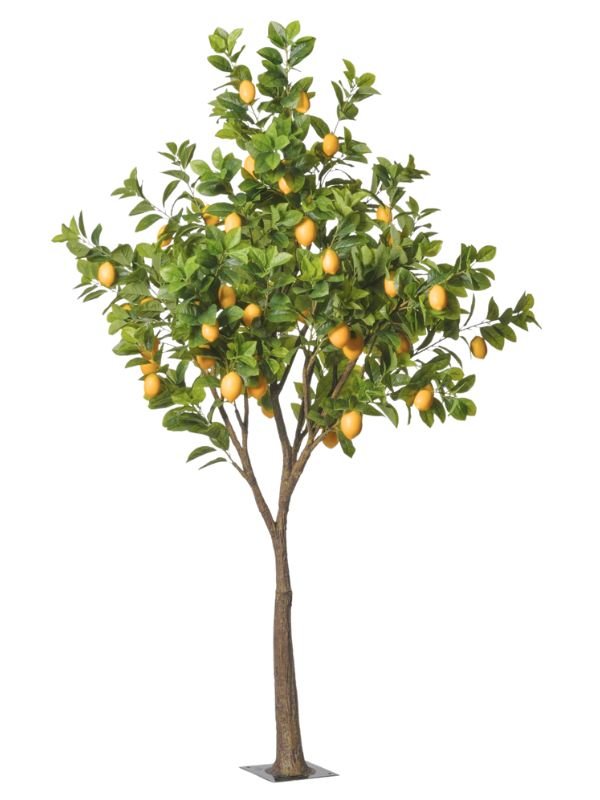 Limonero Artificial con Base - 250 cm