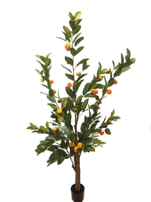 NARANJO 150CM