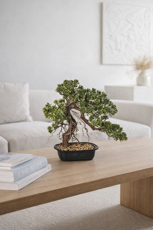 BONSAI ENEBRO