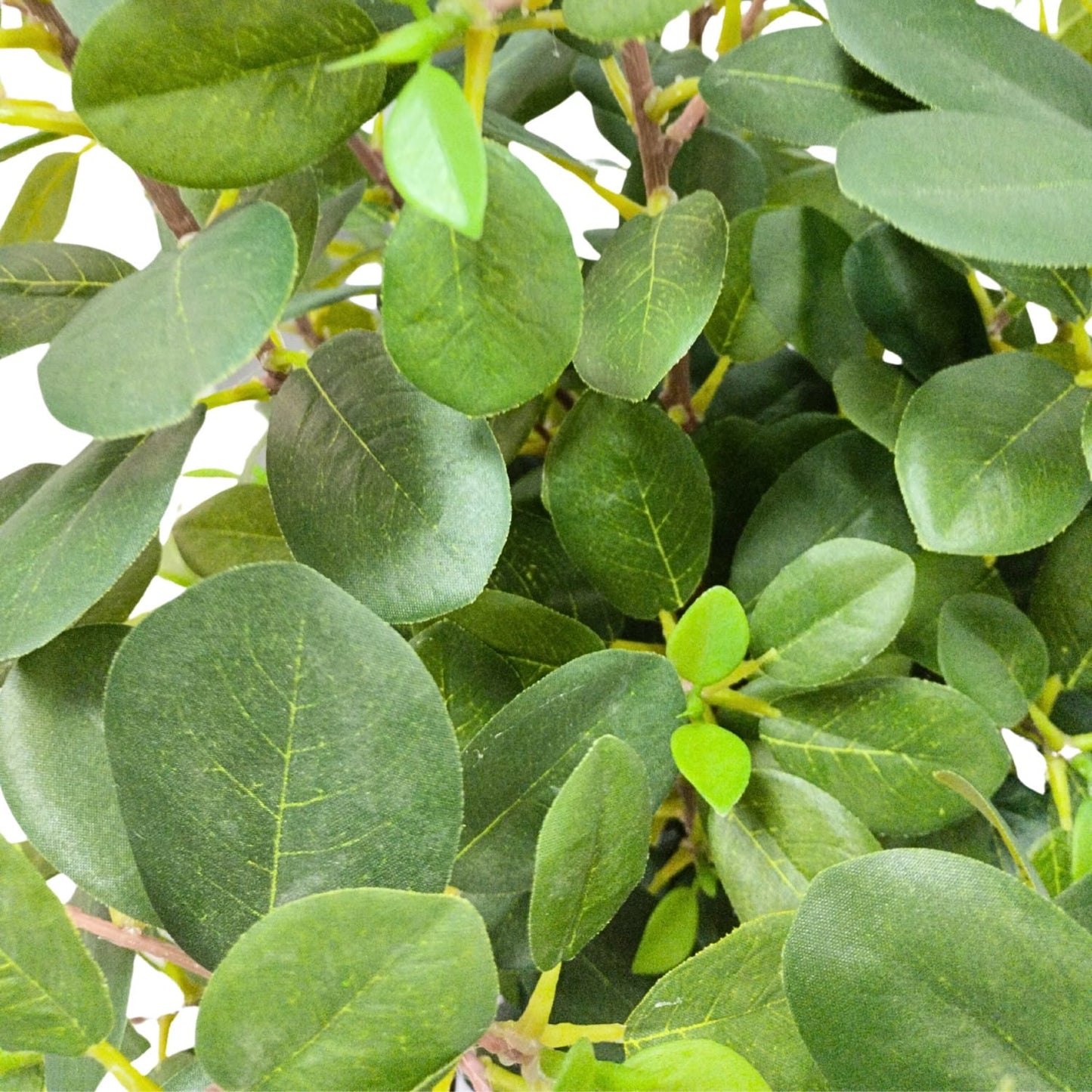 Ficus Bonsai Artificial Premium - Estilo Ginseng. 75 cm