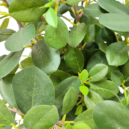 Ficus Bonsai Artificial Premium - Estilo Ginseng. 75 cm