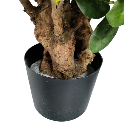 Ficus Bonsai Artificial Premium - Estilo Ginseng. 75 cm