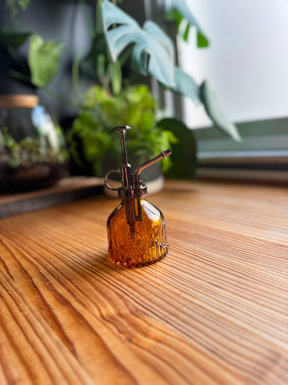 Pulverizador Decorativo para Plantas de Cristal Ámbar