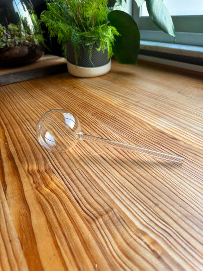 Set de Autorriego de Cristal para Plantas 2 unidades