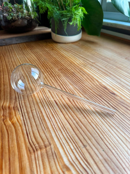 Set de Autorriego de Cristal para Plantas 2 unidades