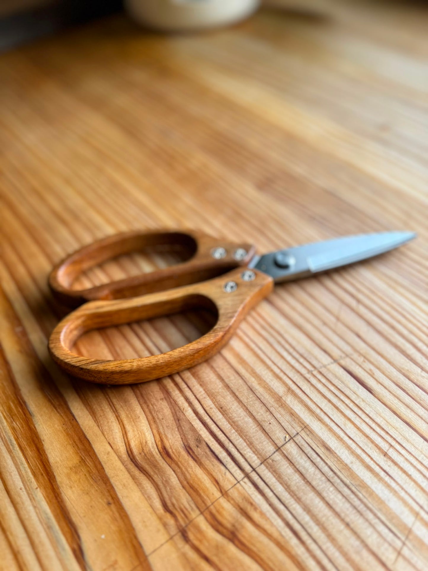Tijeras de Florista con Mango de Madera