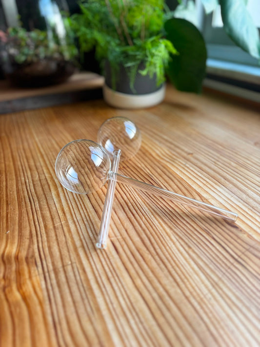 Set de Autorriego de Cristal para Plantas 2 unidades