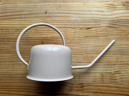 Regadera de Interior Minimalista – Diseño Nórdico con Pico Largo
