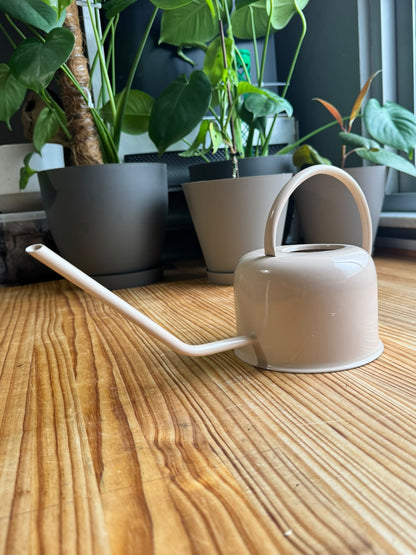 Regadera de Interior Minimalista – Diseño Nórdico con Pico Largo