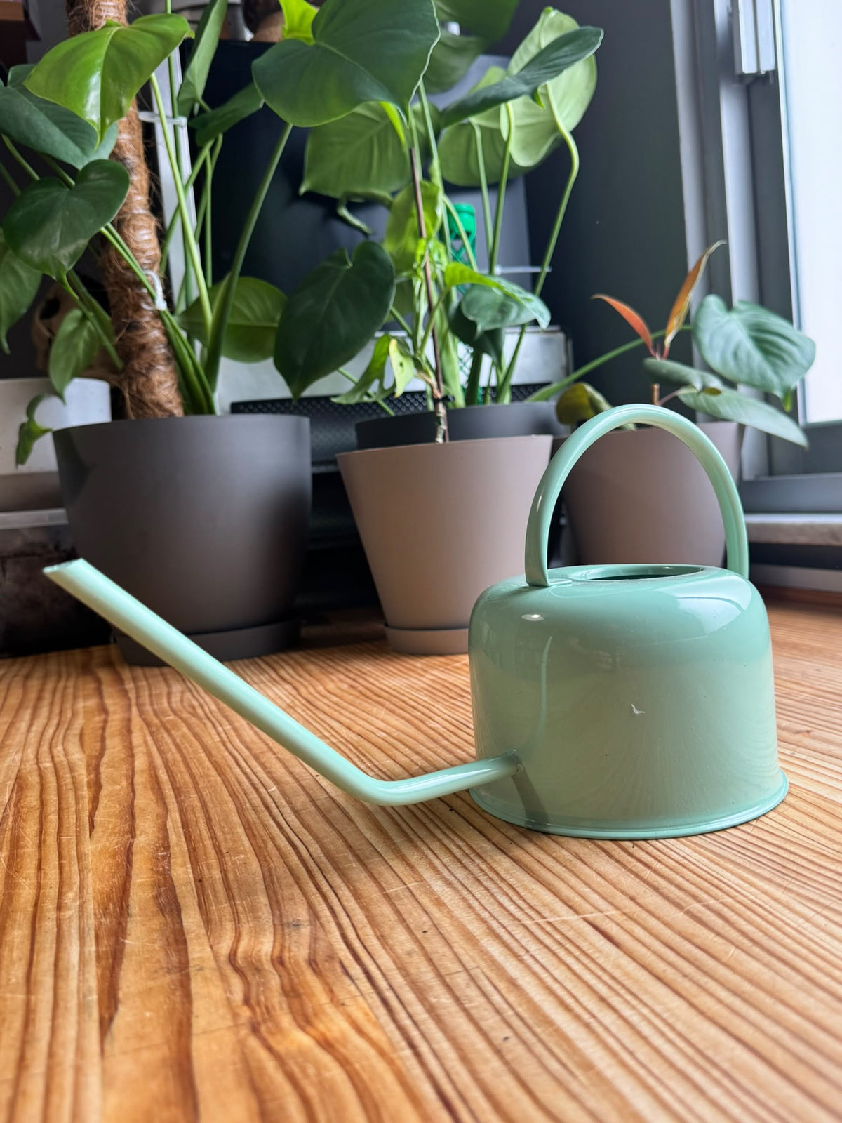 Regadera de Interior Minimalista – Diseño Nórdico con Pico Largo