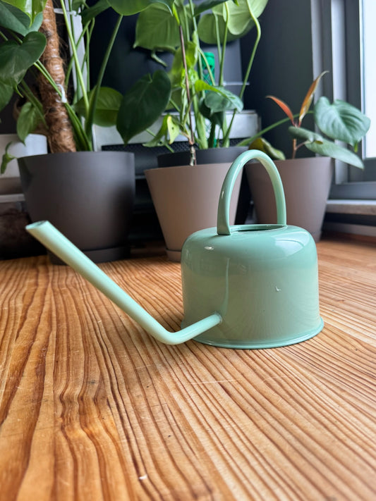 Regadera de Interior Minimalista – Diseño Nórdico con Pico Largo