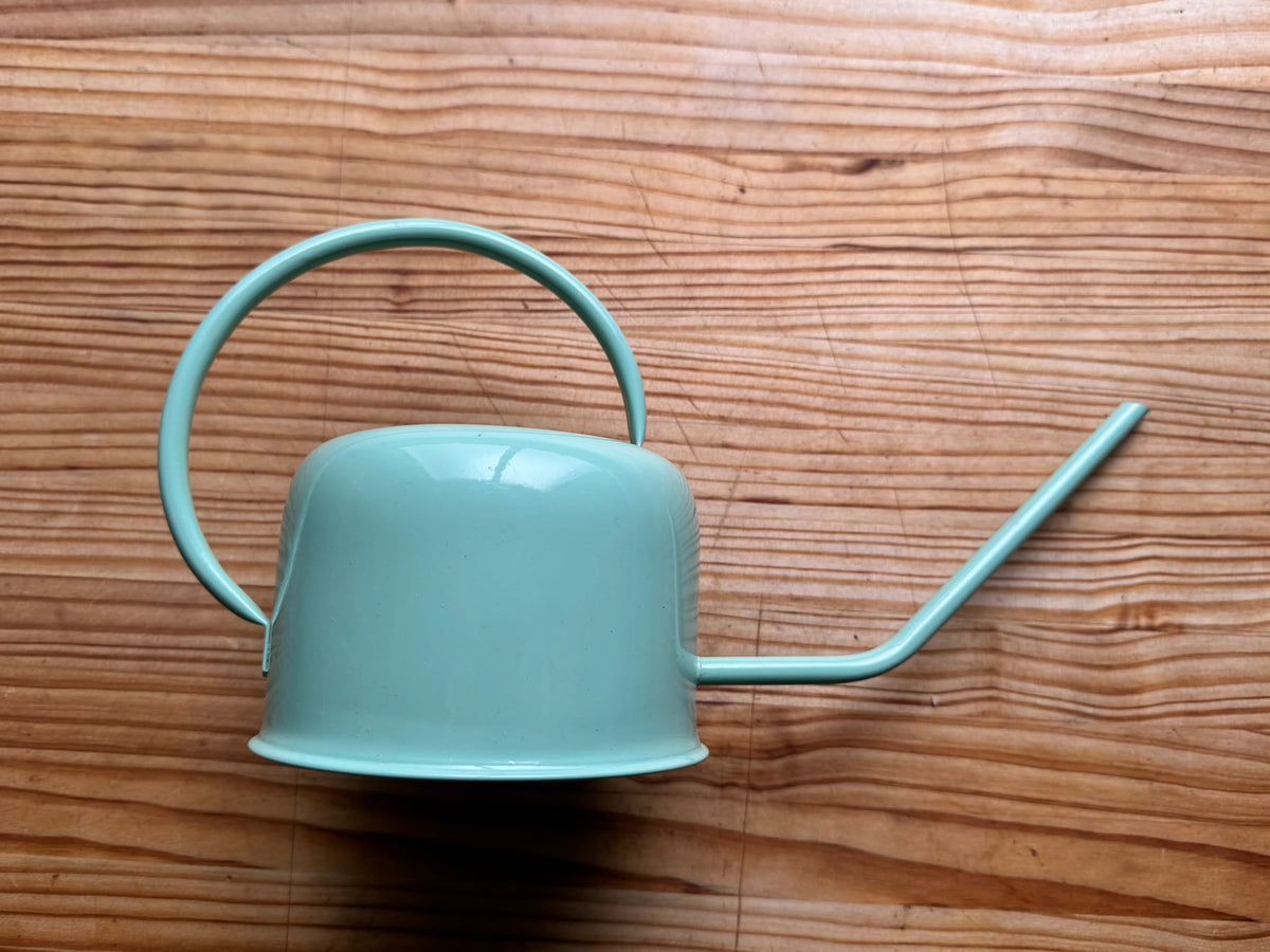 Regadera de Interior Minimalista – Diseño Nórdico con Pico Largo