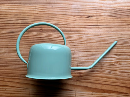 Regadera de Interior Minimalista – Diseño Nórdico con Pico Largo