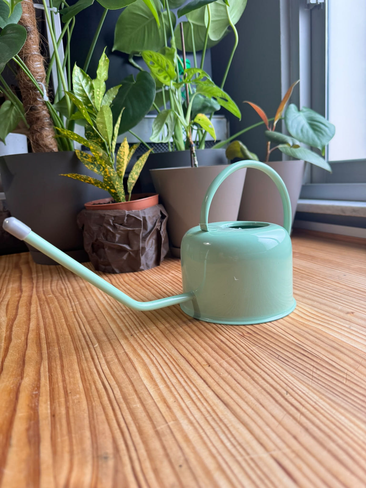 Regadera de Interior Minimalista – Diseño Nórdico con Pico Largo
